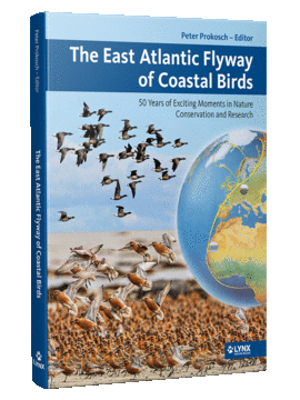 THE EAST ATLANTIC FLYWAY OF COASTAL BIRDS